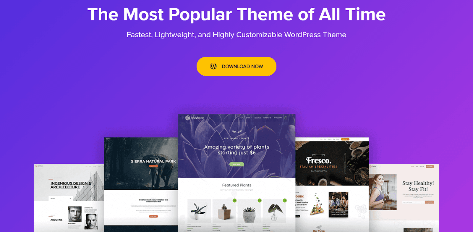 15+ Fastest WordPress Themes