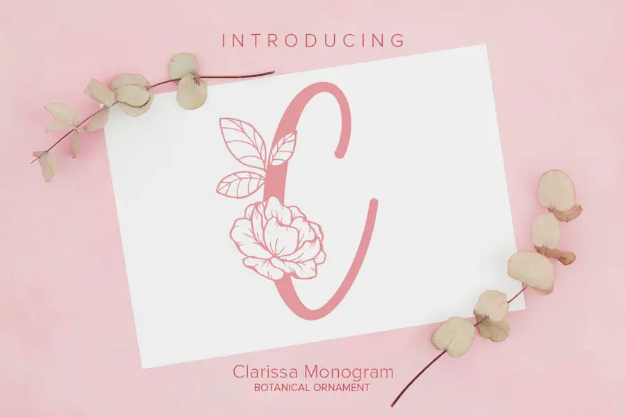 Clarissa 字母组合 -