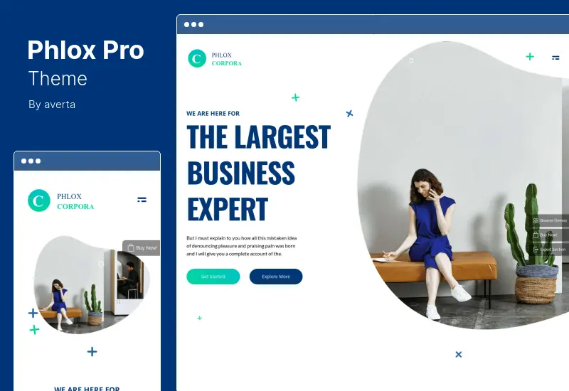 Phlox Pro Theme - Tema WordPress Multiuso Elementor