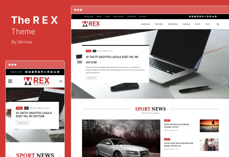 Tema REX - Tema WordPress pentru reviste și blog