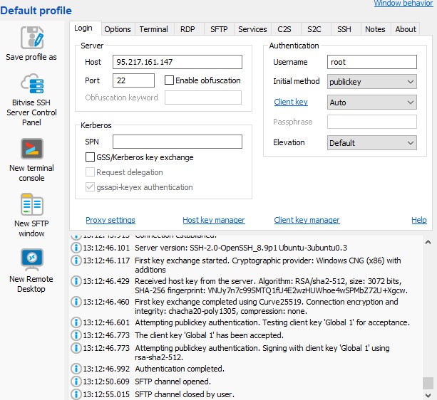 Vaya a Nueva ventana SFTP desde Bitwise SSH Client.