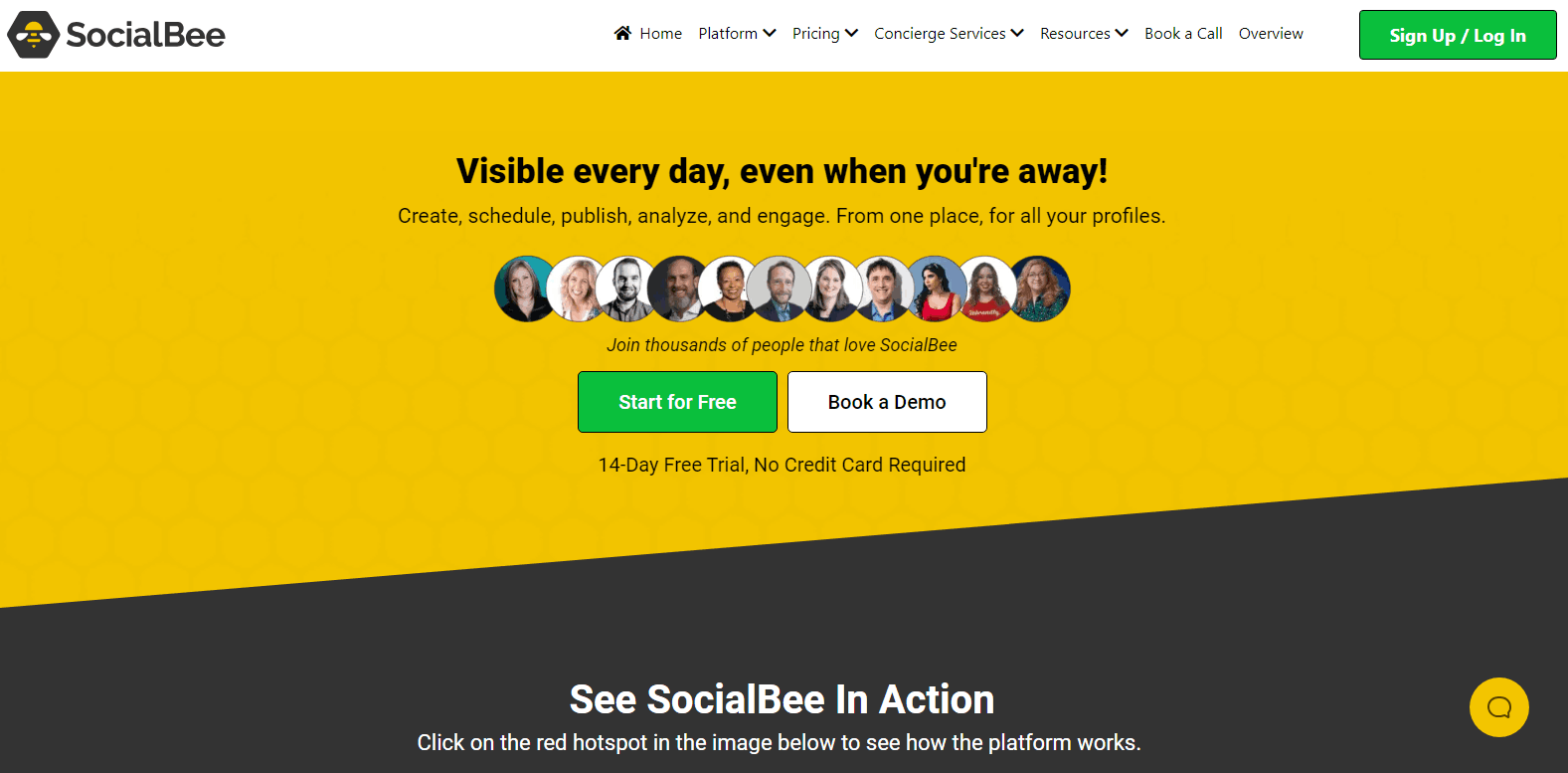 SocialBee 홈페이지: 멀리 있어도 매일 볼 수 있습니다!