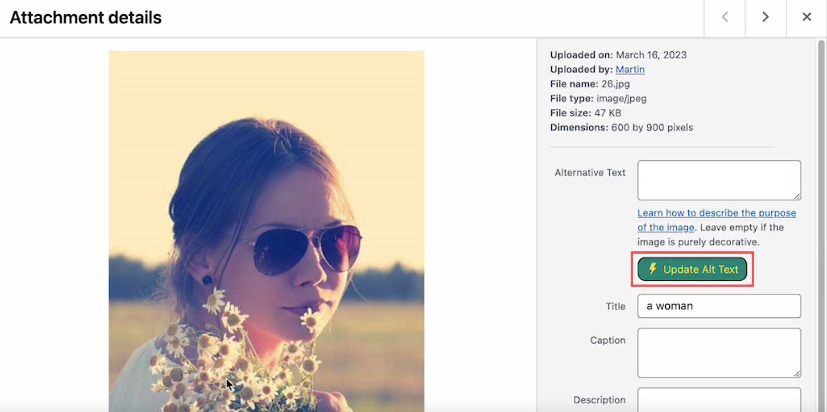 Обновите альтернативный текст с помощью плагина alttext.ai WP