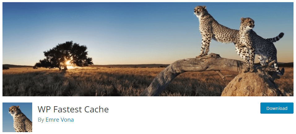 Cel mai rapid cache WP