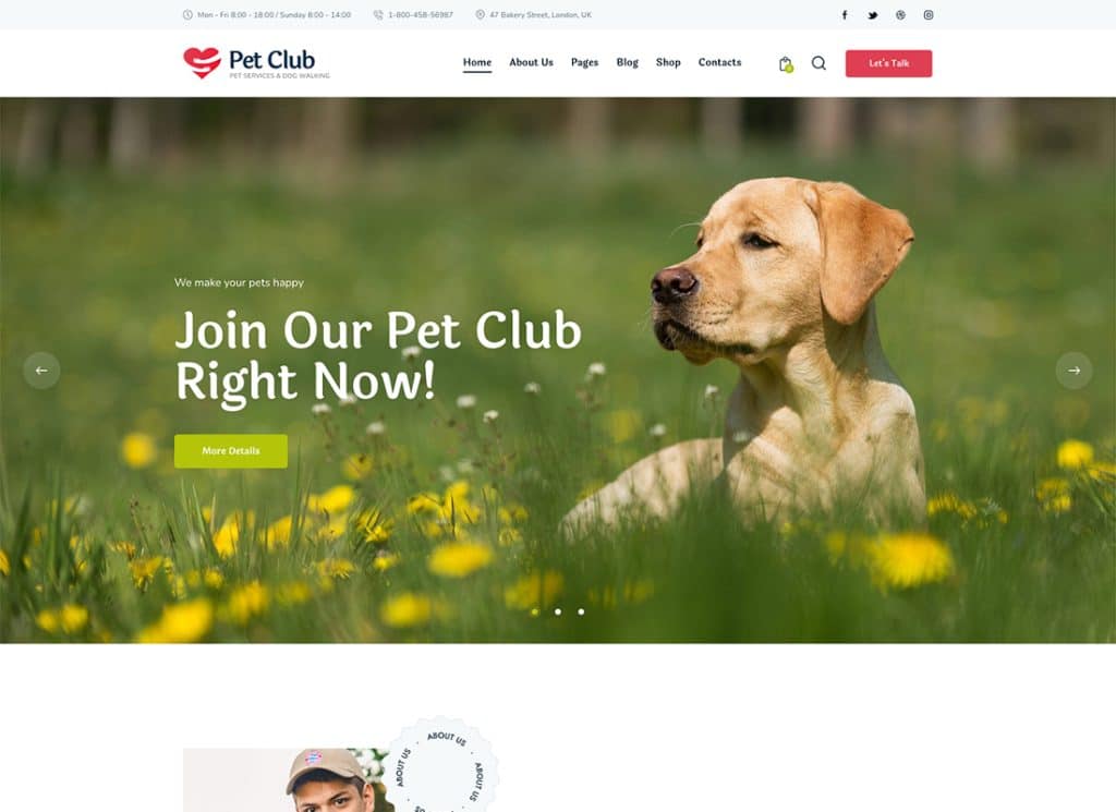 Pets Club — тема WordPress для зоомагазина и разведения ветеринарных препаратов