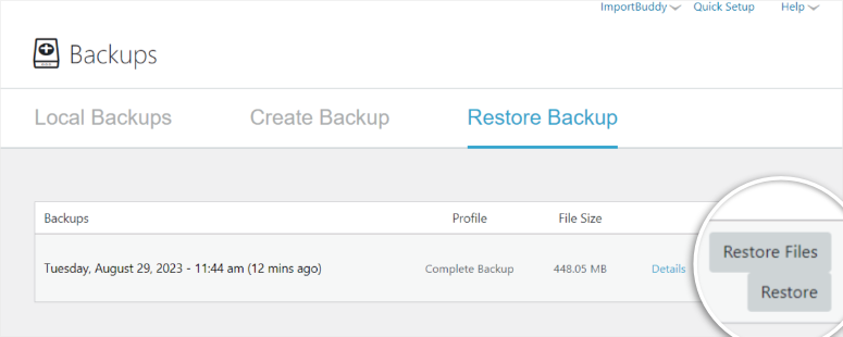 backupbuddy-restore - IsItWP - เครื่องมือตรวจจับธีม WordPress ฟรี backupbuddy restore