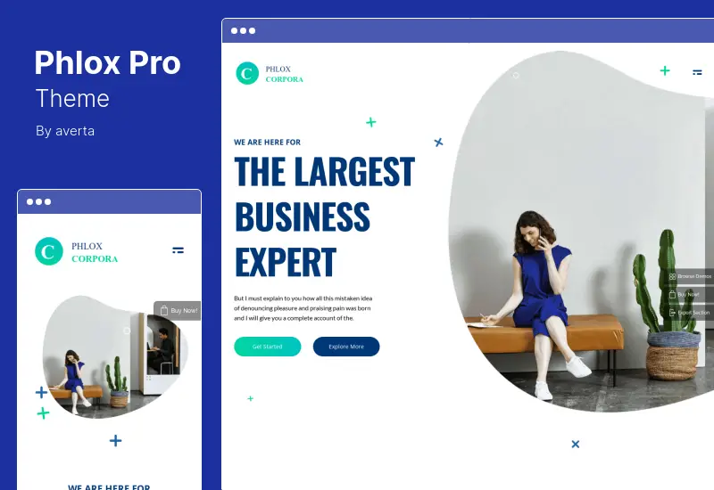 Phlox Pro 主题 - Elementor 多功能 WordPress 主题