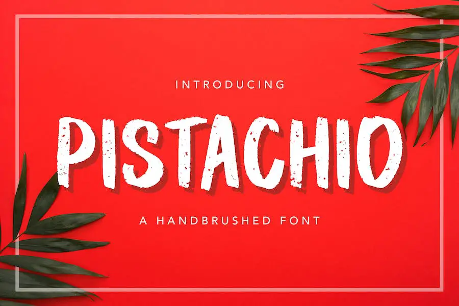 Pistache -