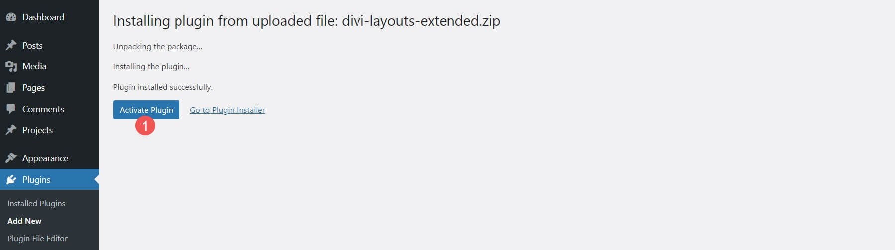 การติดตั้ง Divi Layouts Extended