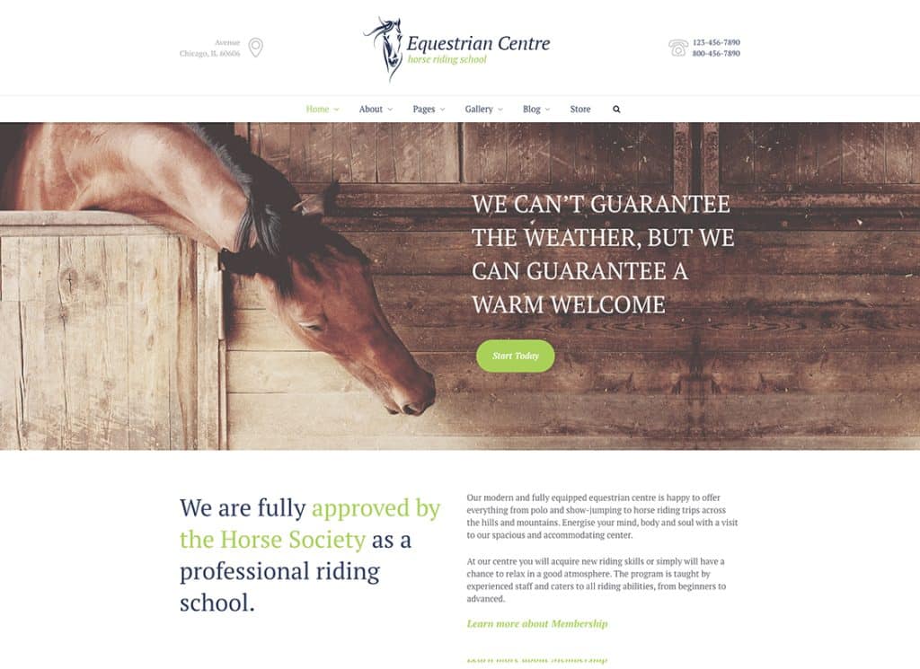 Reitzentrum und Reitschule Hippodrom WordPress-Theme