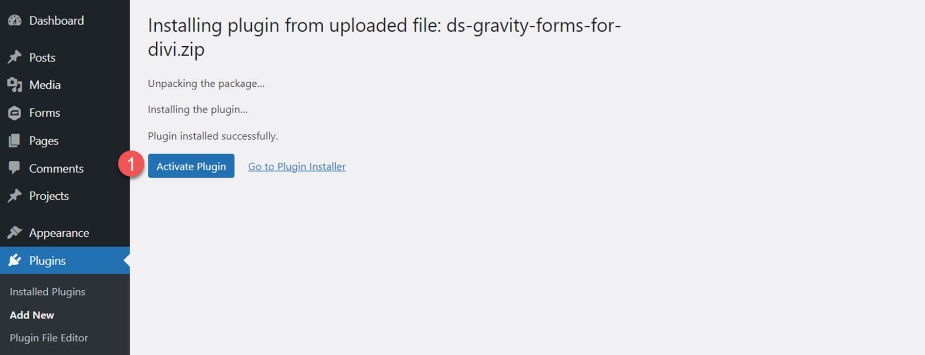 Aktivieren Sie das Gravity Forms Styler-Modul für Divi