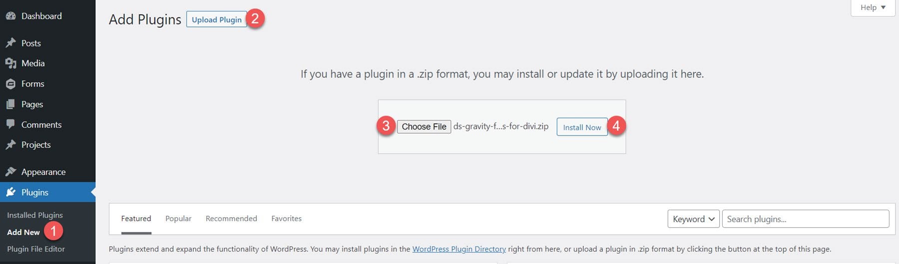 Installer le module Gravity Forms Styler pour Divi