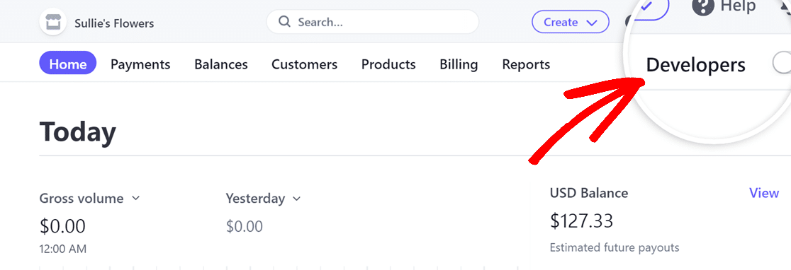 Stripe dashboard developers option