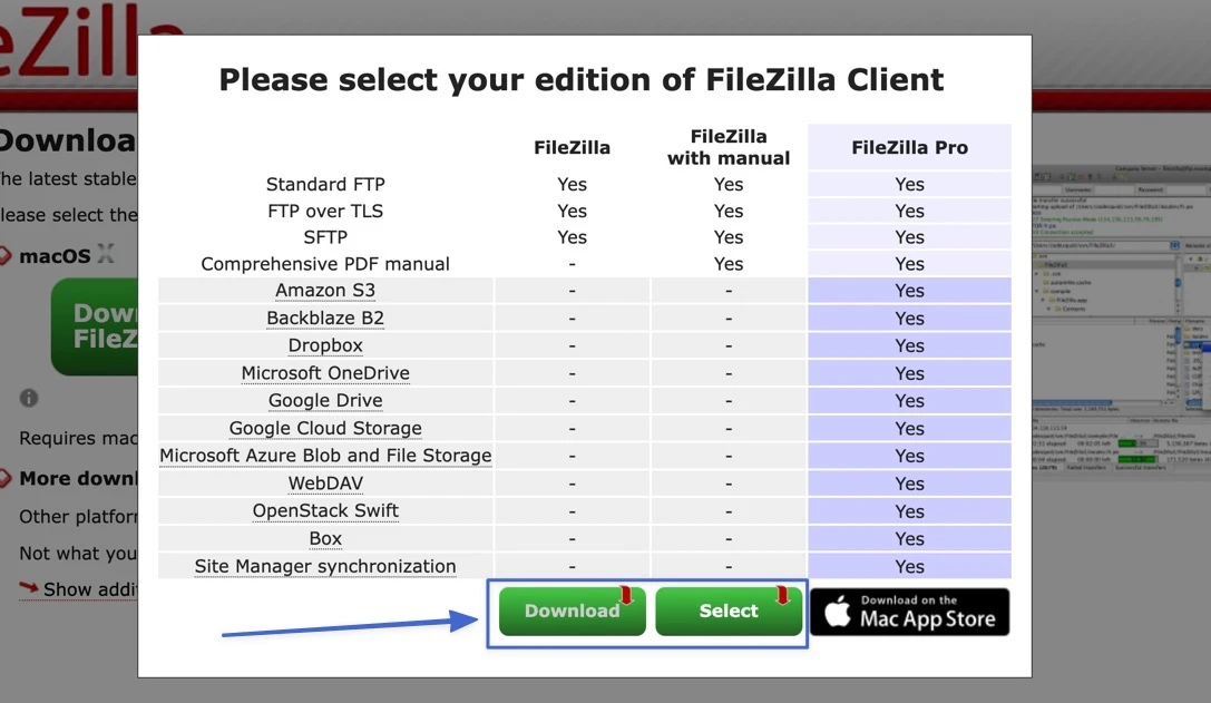 pulsante di download