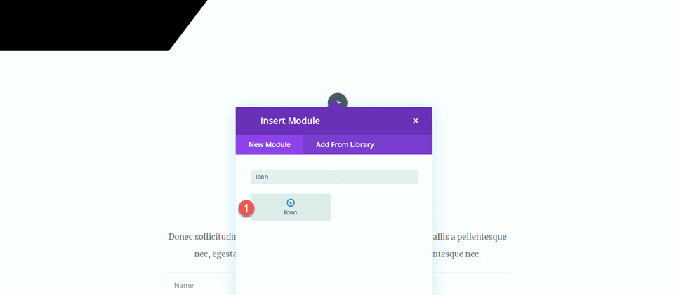 Divi Użyj modułu dzielnika, aby utworzyć równowagę w module ikony projektu