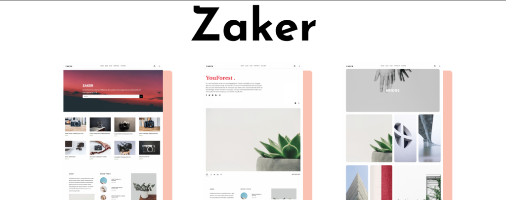 Zaker