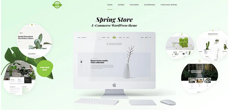 Spring Plants - ธีม WordPress การจัดสวนและต้นไม้ในบ้าน