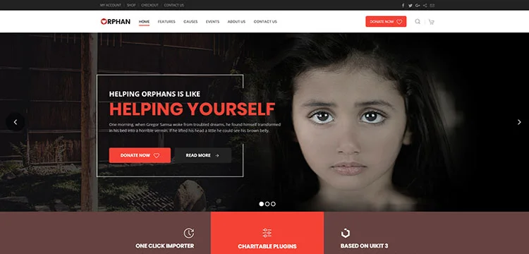 Orphan - Tema WordPress di beneficenza