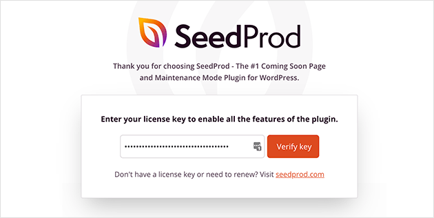 Введите лицензионный ключ SeedProd