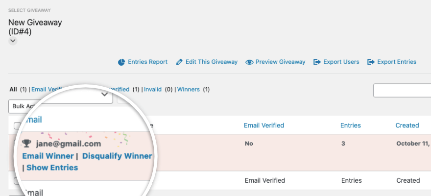 RafflePress 경품 당첨자 세부정보