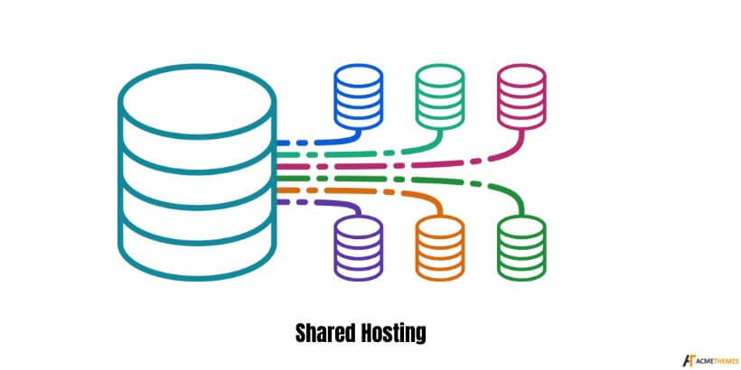 Hosting condiviso-Hosting-condiviso-VS-Hosting-WordPress: qual è l'opzione migliore?