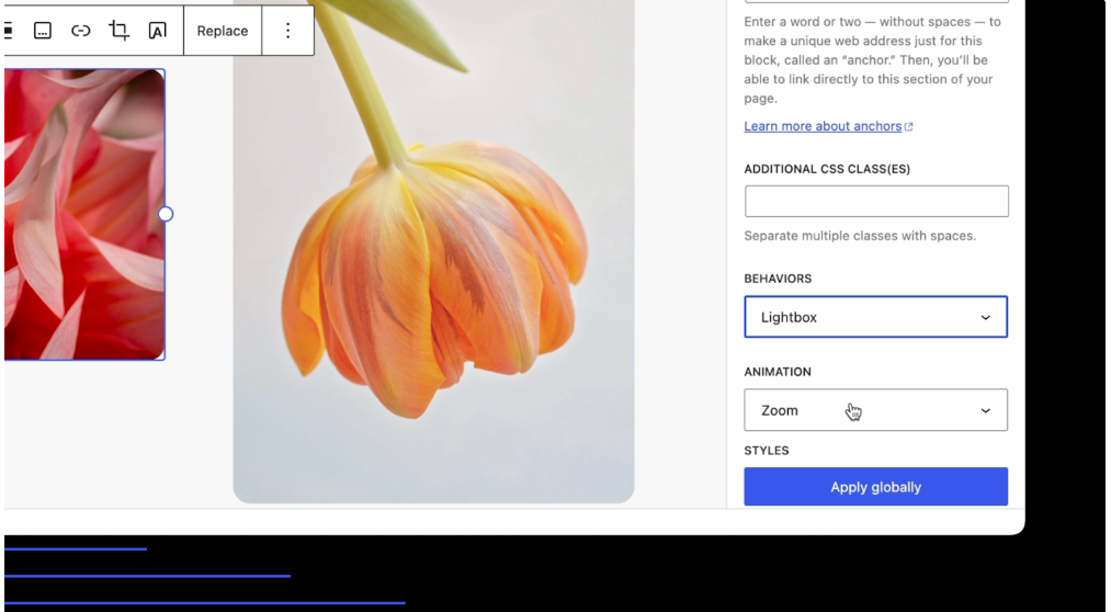 Lightbox-Popup in WordPress 6.4