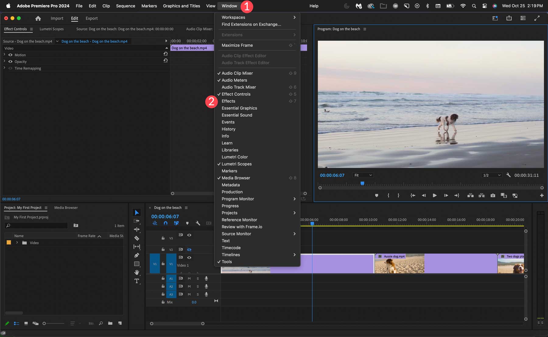 Adobe Premiere Pro のエフェクト