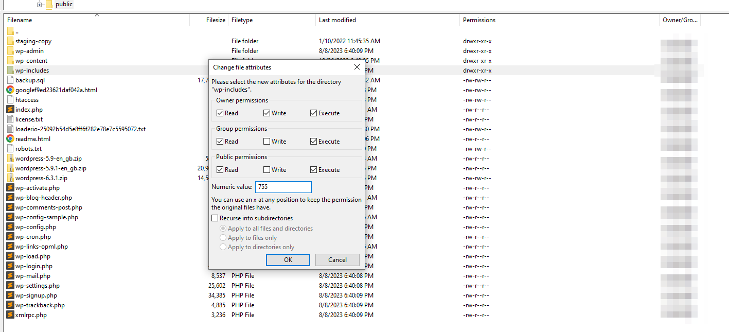 Festlegen des numerischen Werts für Dateiberechtigungen bei der Behebung des WordPress White Screen of Death.