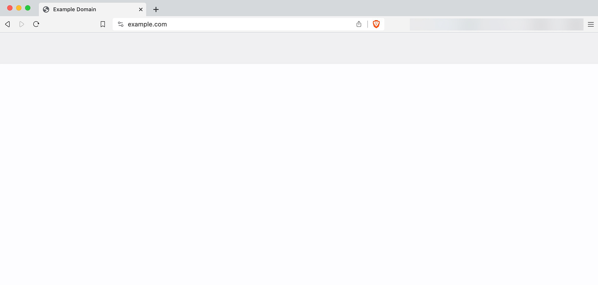 Beispiel für den WordPress White Screen of Death.