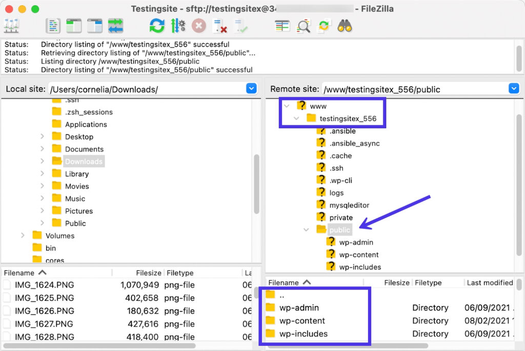 antarmuka navigasi filezilla yang membantu menemukan direktori wordpress Anda