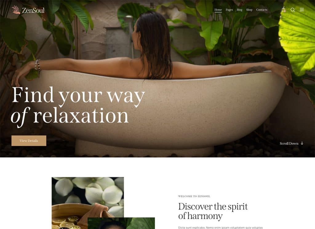 ZenSoul – WordPress-Theme für Spa-Salon und Wellness