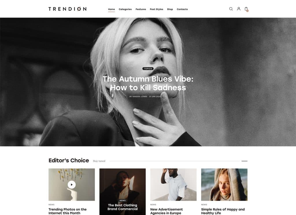 Trendion – Thème WordPress pour blog et magazine de style de vie personnel