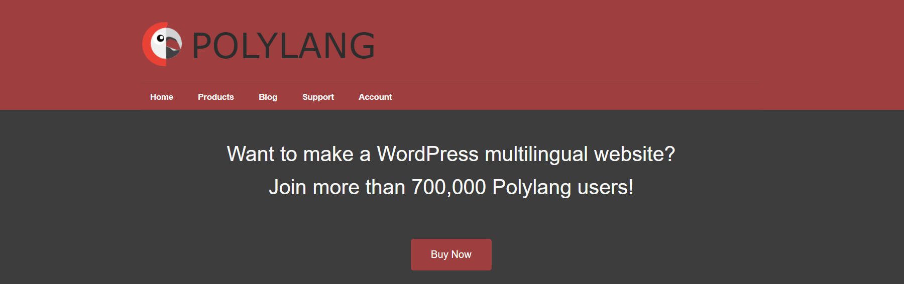 Polylang Homepage – Januar 2024