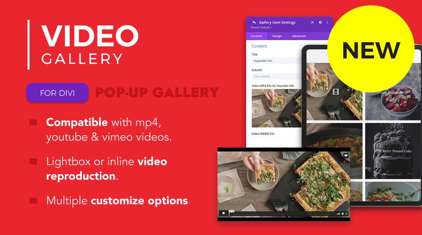 Plugin Galeri Divi Terbaik - Gambar unggulan bagian Galeri Video Divi