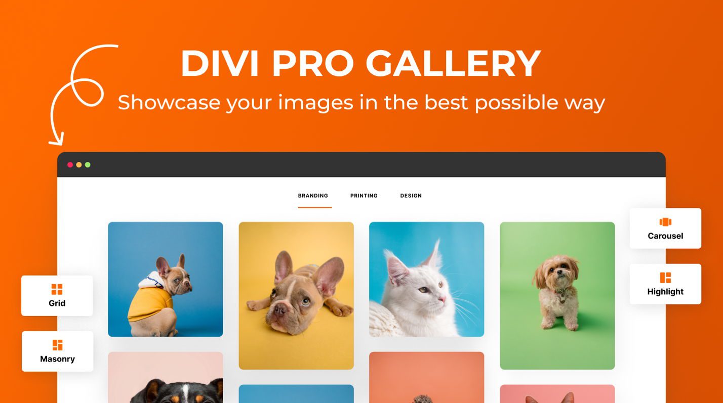 最佳 Divi Gallery 插件 - Divi Pro Gallery 部分特色图片