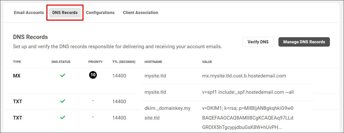 علامة التبويب سجلات DNS