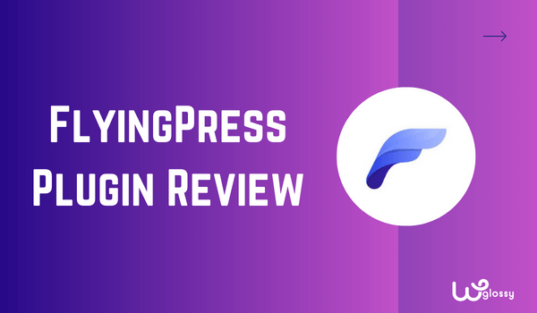 revisão da Flyingpress