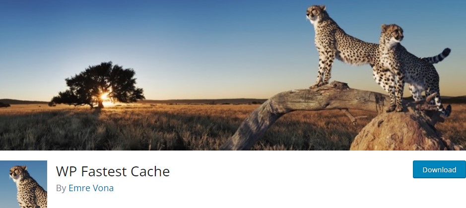 Cache Tercepat WP: Plugin Caching WordPress