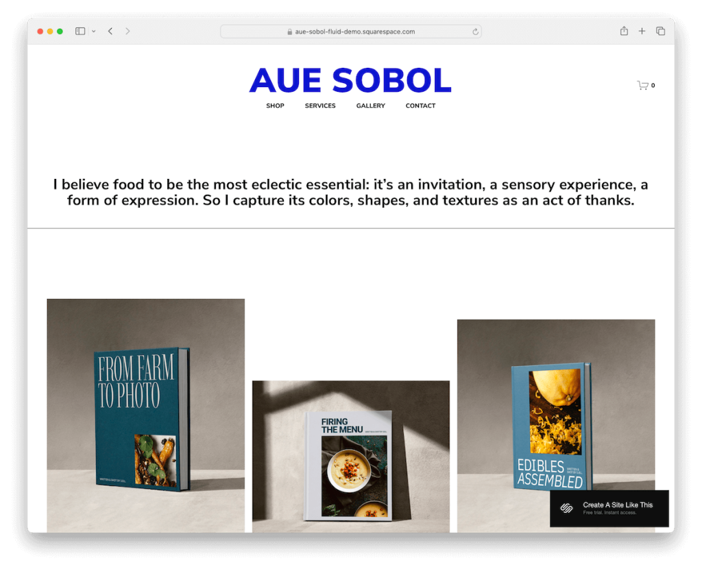 Aue Sobol Squarespace Template Shop