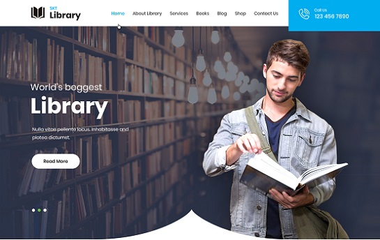 Tema WordPress per la libreria