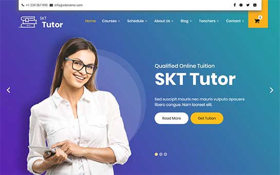 Tema WordPress Tutor Online