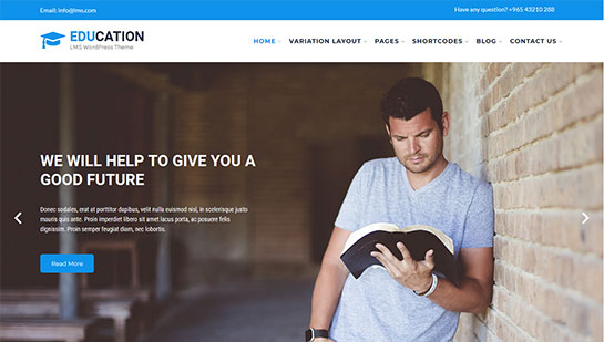 Tema LMS WordPress