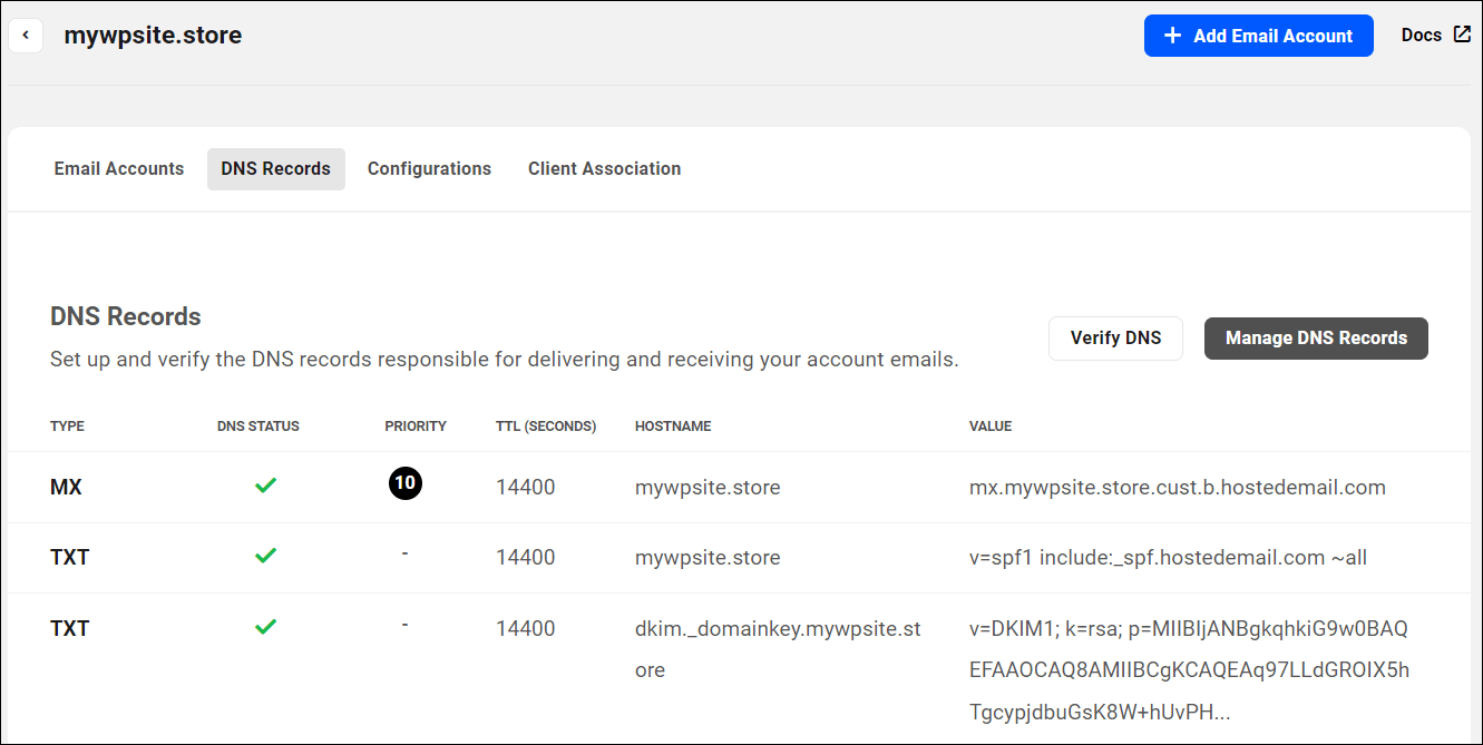 Gerenciador de registros DNS WPMU DEV