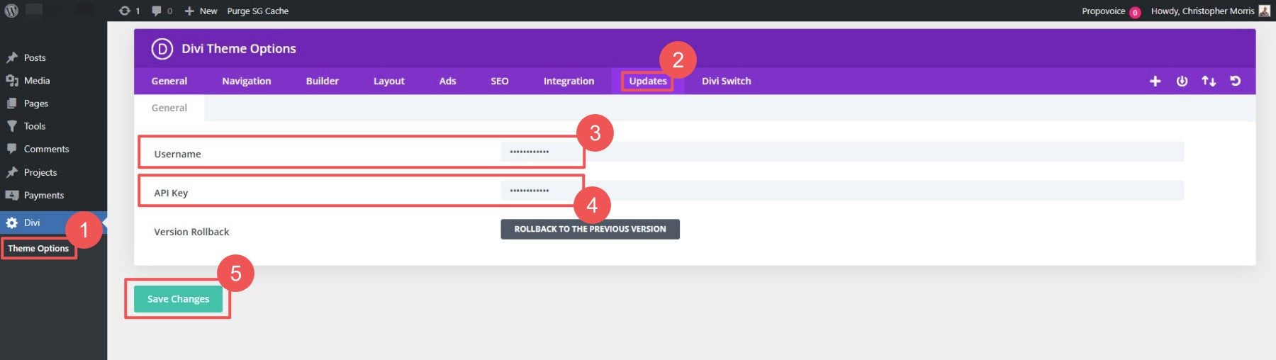 Divi Вставьте UN и API в панель обновлений