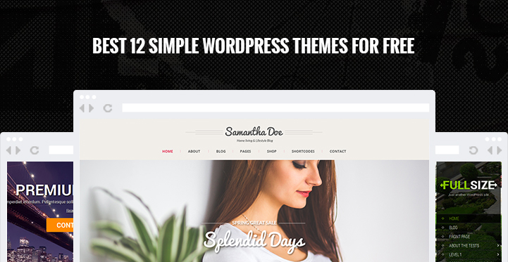 Temi WordPress semplici e gratuiti