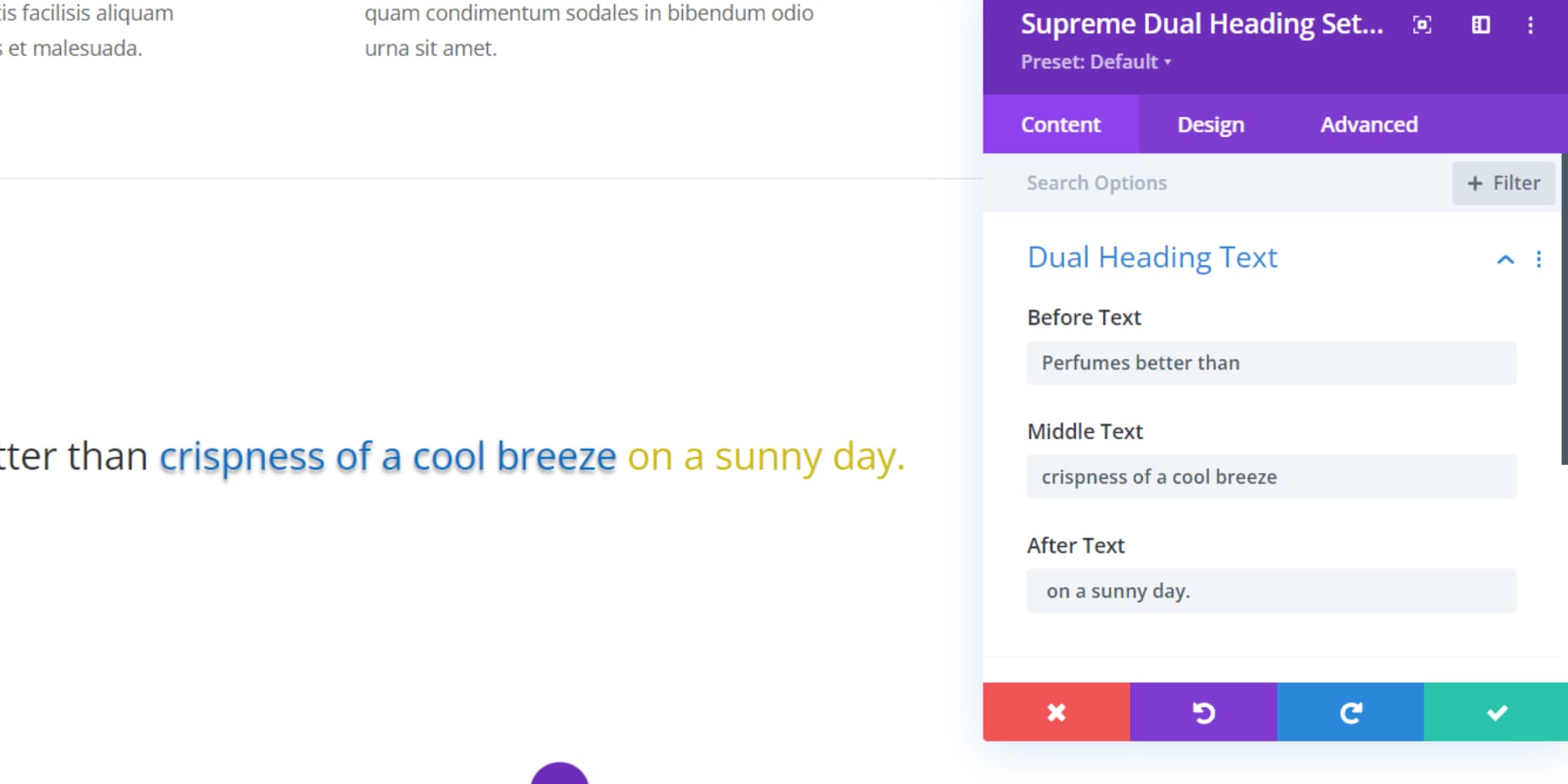 Divi Supreme Pro 雙標題設定截圖