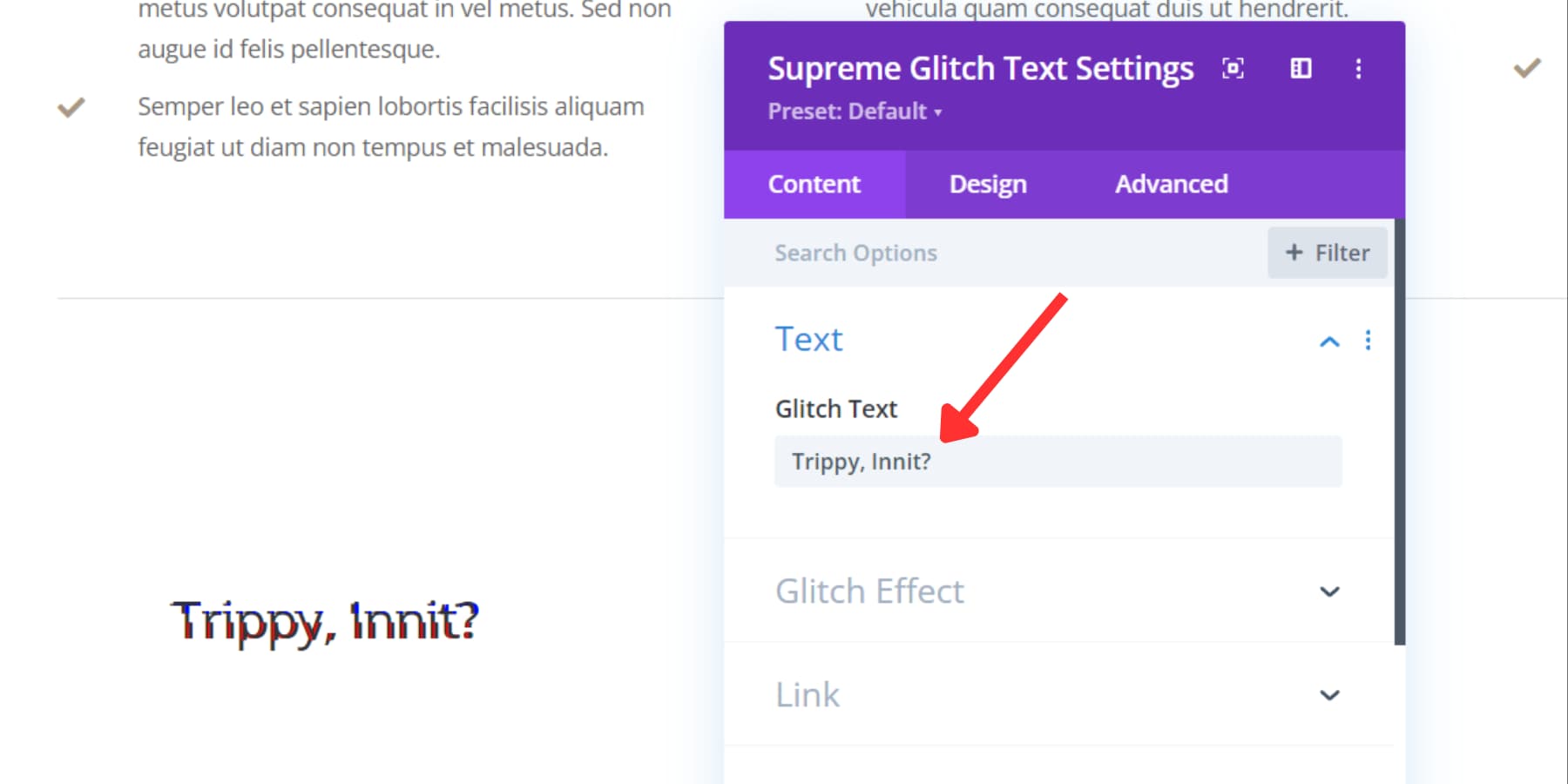 Divi Supreme Pro'nun Glitch Text'inin ekran görüntüsü