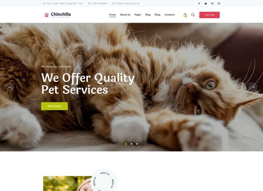 Chinchilla - ธีม WordPress สำหรับสัตว์เลี้ยง 