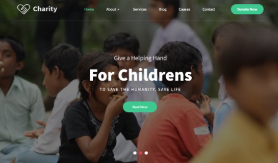 NGO-WordPress-Theme