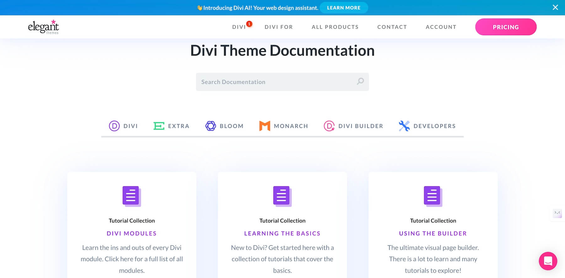 Screenshot der Divi-Theme-Dokumentation